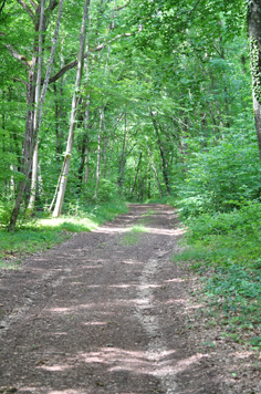 Foto van Helen volgt zsm(8K)